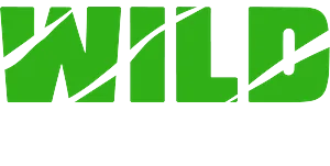 WildCasino.ag online baccarat casino